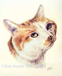 Garfield portrait de chat 24 x 30 cm ralis d'aprs commande aux crayons